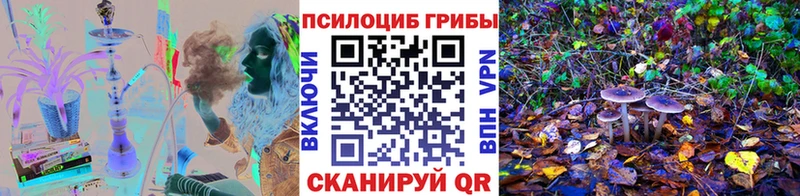 Купить  Партизанск  Псилоцибиновые грибы мицелий 
